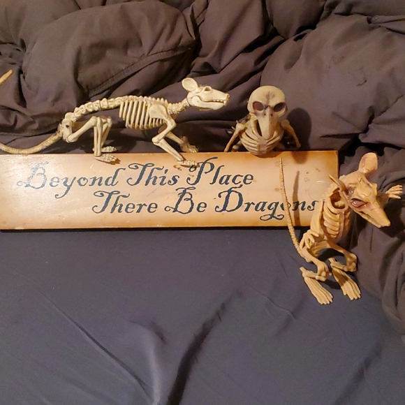 Dragon sign - Picture 1 of 3